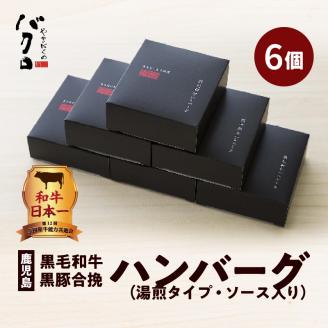 鹿児島黒毛和牛×鹿児島黒豚合挽ハンバーグ（湯煎タイプ・ソース入り）6個　K130-007