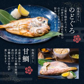 桜島灰干し　5種詰合せ【特選】　K178-002