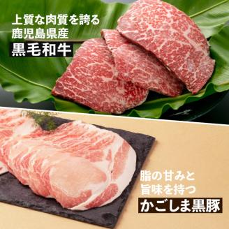 【岩元精肉店】鹿児島県産黒毛和牛・かごしま黒豚バラエティセット　K045-008