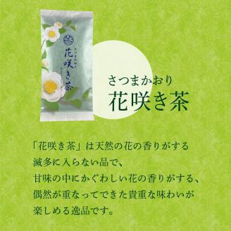 【7営業日以内に発送】さつまかおり　花咲き茶　K115-003