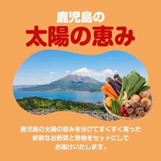 【JA直売所セレクト】旬鮮野菜・果物セット（12～14品目）　K072-001