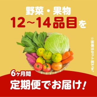 【JA直売所セレクト】6ヵ月定期便！旬鮮野菜・果物セット（12～14品目）　K072-T01