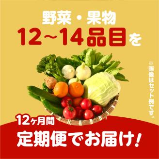 【JA直売所セレクト】12ヵ月定期便！旬鮮野菜・果物セット（12～14品目）　K072-T02