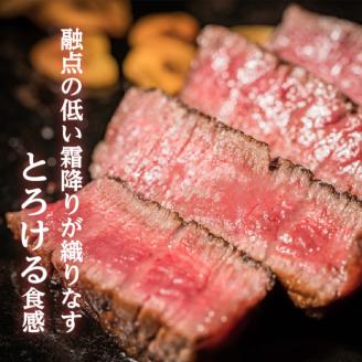 【岩元精肉店】鹿児島県産黒毛和牛A4等級 ヒレステーキ　K045-012