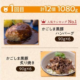 【岩元精肉店】鹿児島県産黒毛和牛・かごしま黒豚　お楽しみ2か月お届けコース　K045-T02
