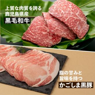 【岩元精肉店】鹿児島県産黒毛和牛・かごしま黒豚　味わい2か月お届けコース　K045-T03
