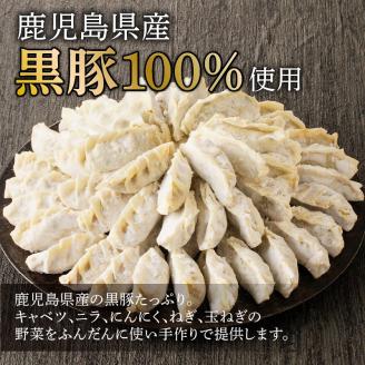【肉のヨコムラ】鹿児島県産 黒豚100%ギョウザ（10個入×8パック）　K189-003