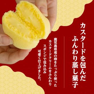 かすたどん 16個入　K167-001