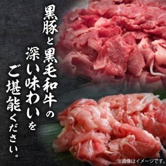 【1080g】黒豚・黒毛和牛ボリューム便　トレー無しSDGs　K086-022