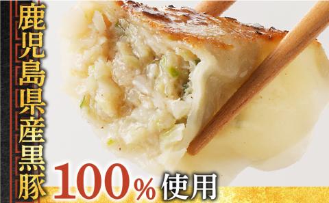 鹿児島黒豚使用の黒豚餃子 96個　K202-001