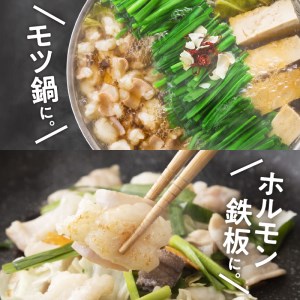 黒毛和牛ミックスホルモン300g入り×2パック　K130-003