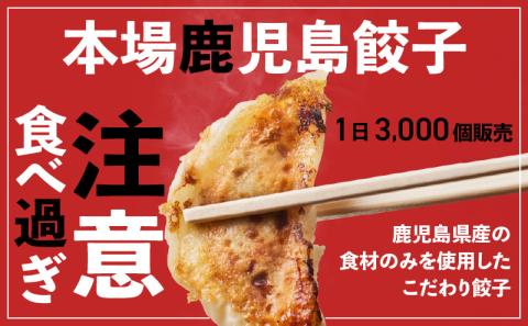 【5営業日以内に発送】鹿児島人気餃子店のお得な餃子食べ比べセット　K118-001