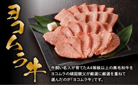 【鹿児島黒毛和牛A4～A5】焼肉特上セット（特上カルビ/特上ロース）　K189-007