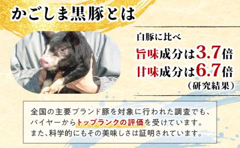 【10営業日以内に発送】かごしま黒豚 しゃぶしゃぶ鍋ダシとバラエティーセット　K091-007