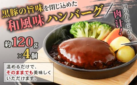 【10営業日以内に発送】鹿児島黒豚 バラエティーセット　K091-008