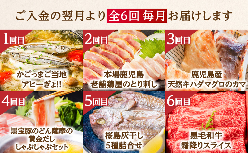 【肉×魚】6回定期便　K000-T2502