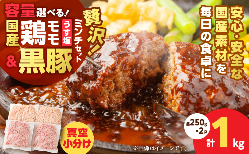 国産鶏モモミンチ＜うす塩＞＋黒豚ミンチセット 計1kg　K025-017_02