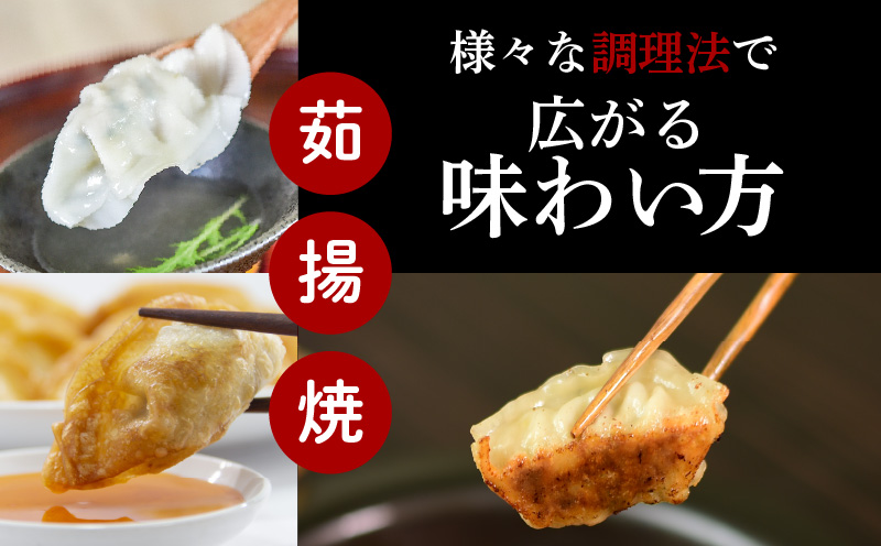 【第1回 日本全国！ご当地冷凍食品大賞 2024-2025 優秀賞受賞！】鹿児島黒豚100%餃子 32個入り　K027-007