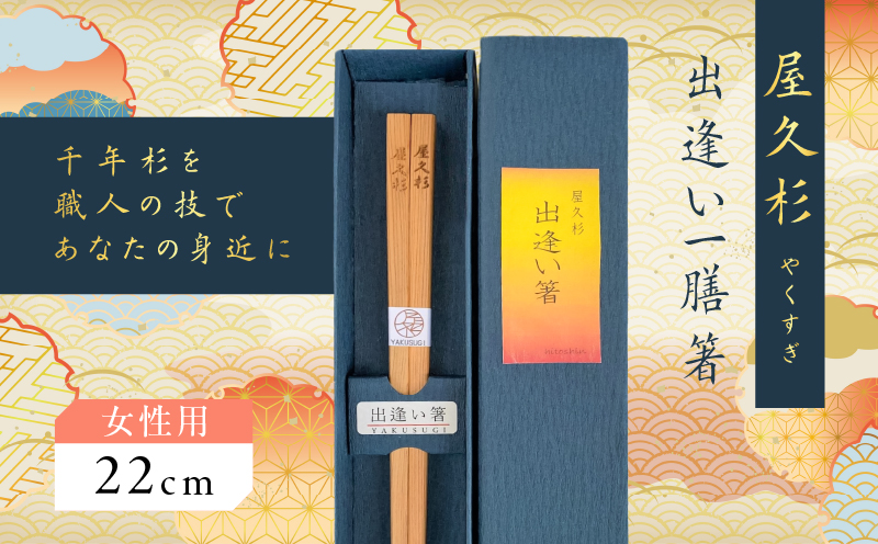 屋久杉　出逢い一膳箸 女性用（22cm）　K042-007_1