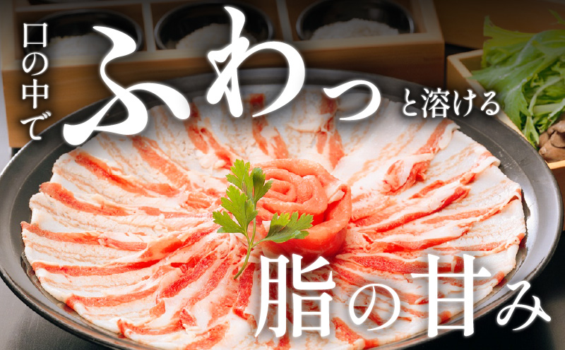 「黒豚料理専門店　寿庵」黒豚しゃぶしゃぶセット（3～4人前）　K049-001