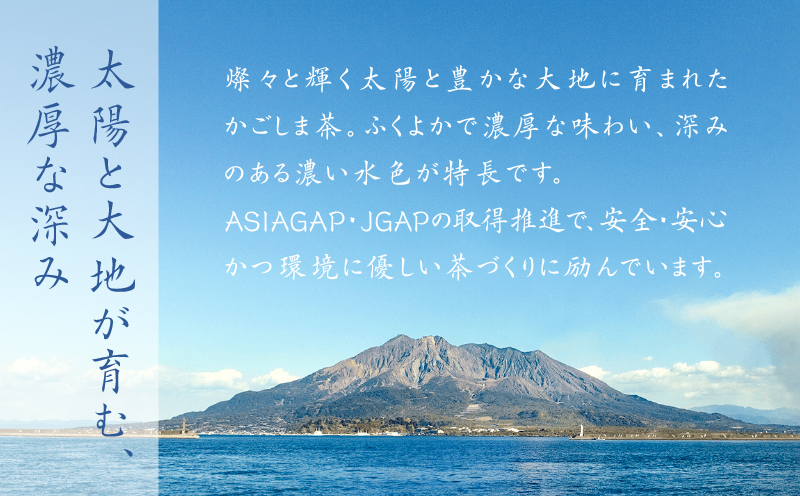 まつもと茶セット　K082-001