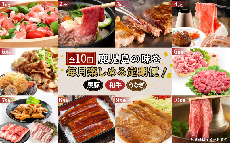 【全10回定期便】鹿児島自慢の豚・牛・うなぎ「満足定期便」　K086-T11