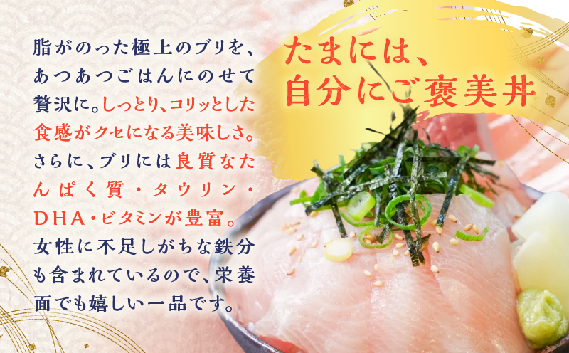 鹿児島産 ブリ丼 70g×5セット　K100-013