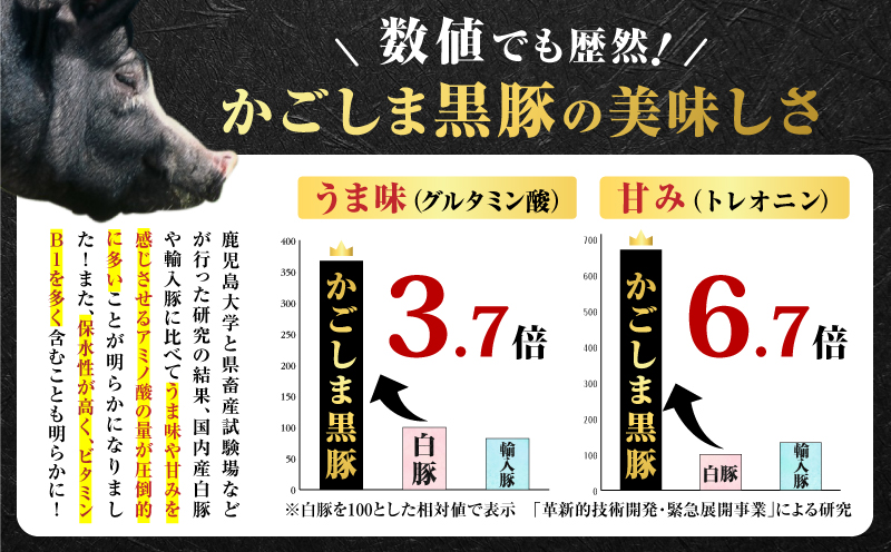 昔ながらの黒豚しゃぶしゃぶセット1.2kg＜ロース、バラ、モモ＞　K125-005