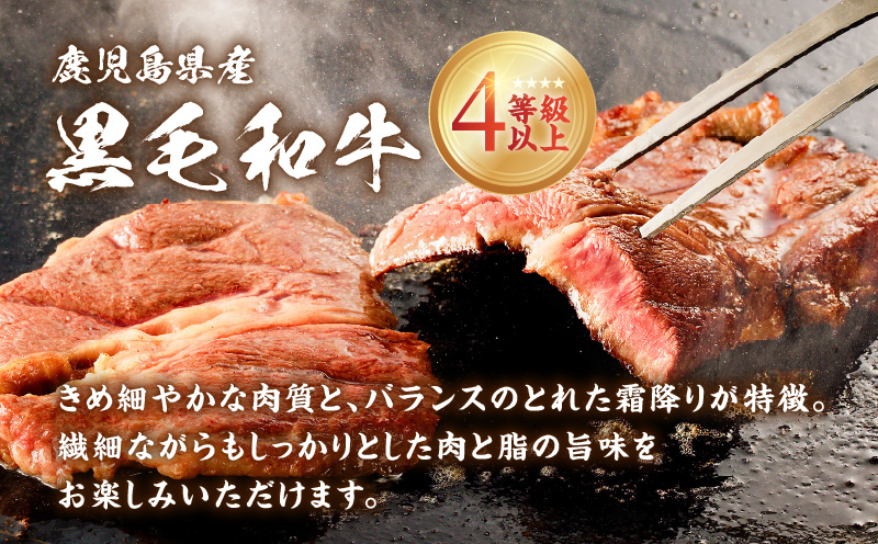 鹿児島県産 黒毛和牛ステーキ 600g　K151-010_01