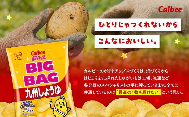 カルビー ポテトチップス BIGBAG【九州しょうゆ】 12袋　K194-002_02