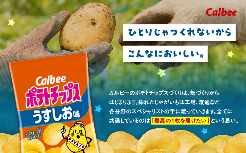 カルビー ポテトチップス【うすしお】16袋　K194-002_03