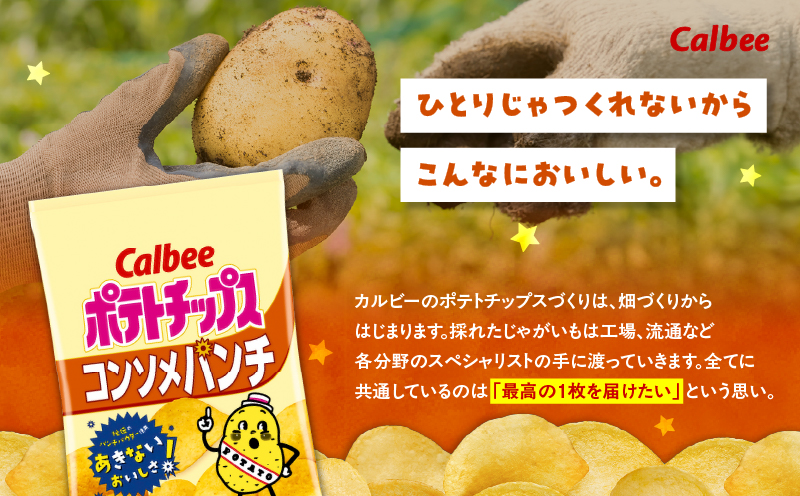 カルビー ポテトチップス【コンソメパンチ】16袋　K194-002_05