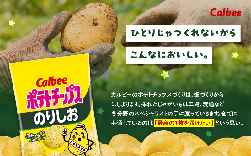カルビー ポテトチップス【のりしお】16袋　K194-002_07
