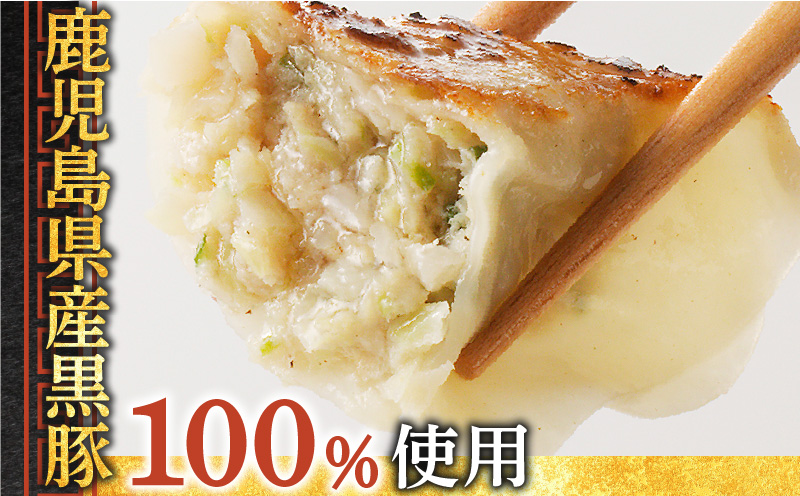 鹿児島黒豚使用の黒豚餃子 36個　K202-001_01