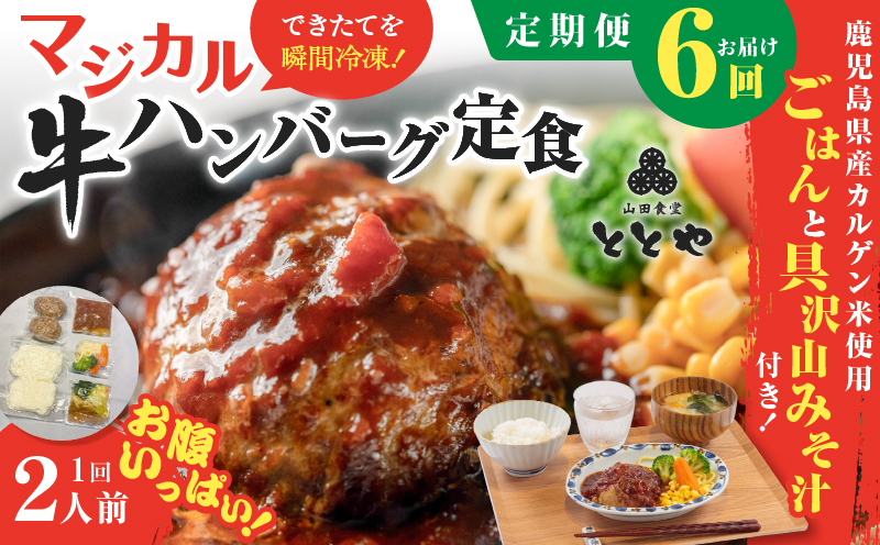 【全6回定期便】マジカル冷凍牛ハンバーグ定食　K258-T03_b