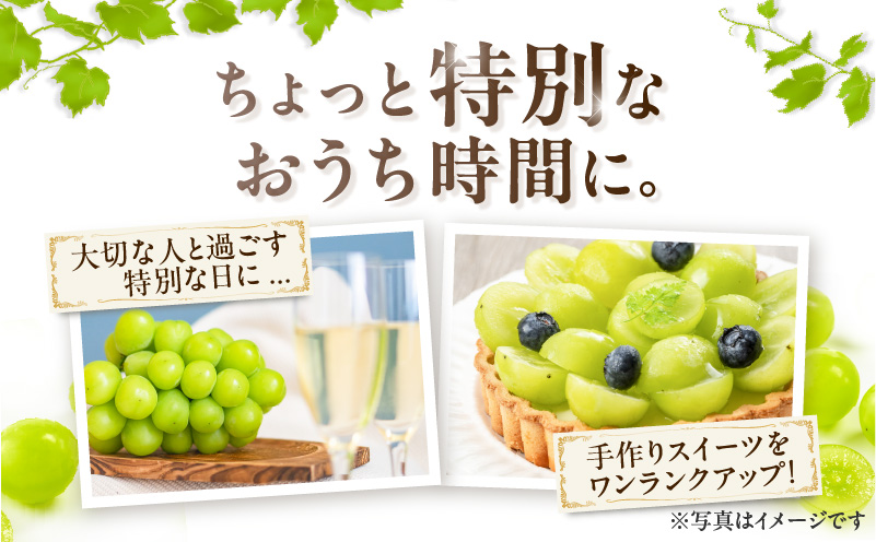 【2025年先行予約】【桜島産】シャインマスカット 1房　K261-001_01