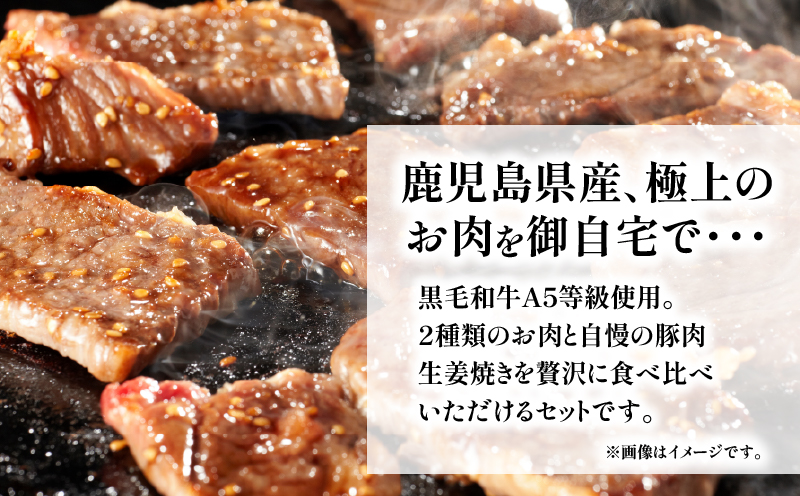 【10営業日以内に発送】黒毛和牛味比べと生姜焼きのセット　K265-006