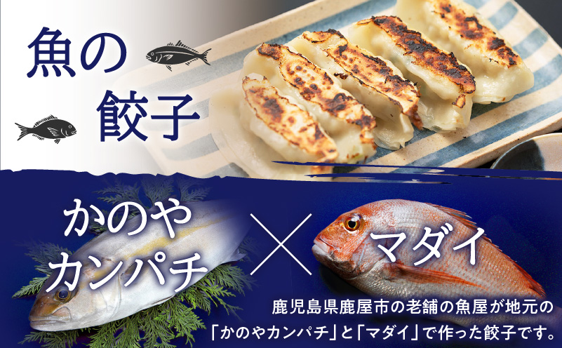 出水田鮮魚のおさかな餃子（8個×4パック）　K294-002