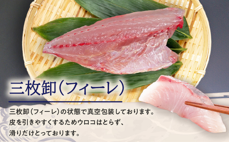 鹿児島県産カンパチ 約3.5kg 三枚卸（フィーレ） 活〆※真空包装　K294-003_02