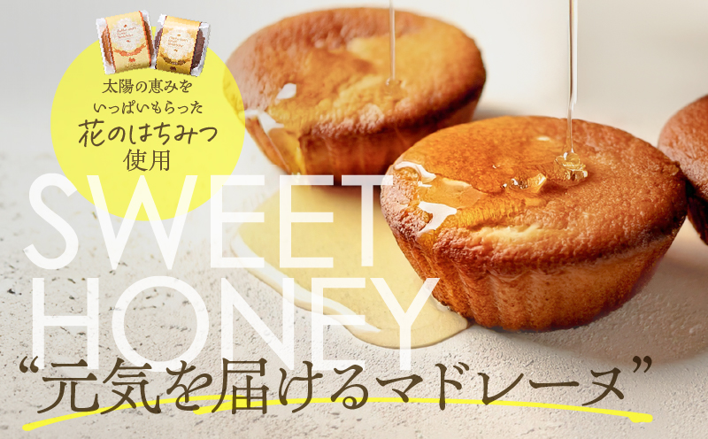 【5営業日以内に発送】元気マドレーヌ プレーン 5個入り　K300-005_01