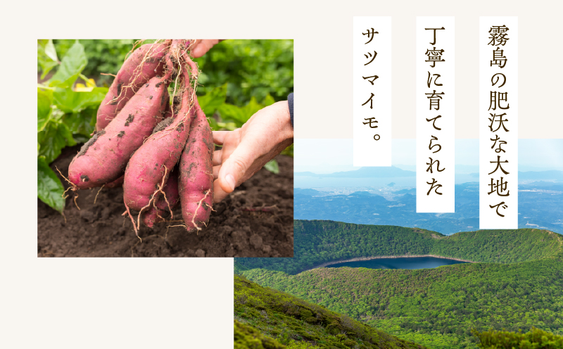 ノンフライ芋チップス　K300-009