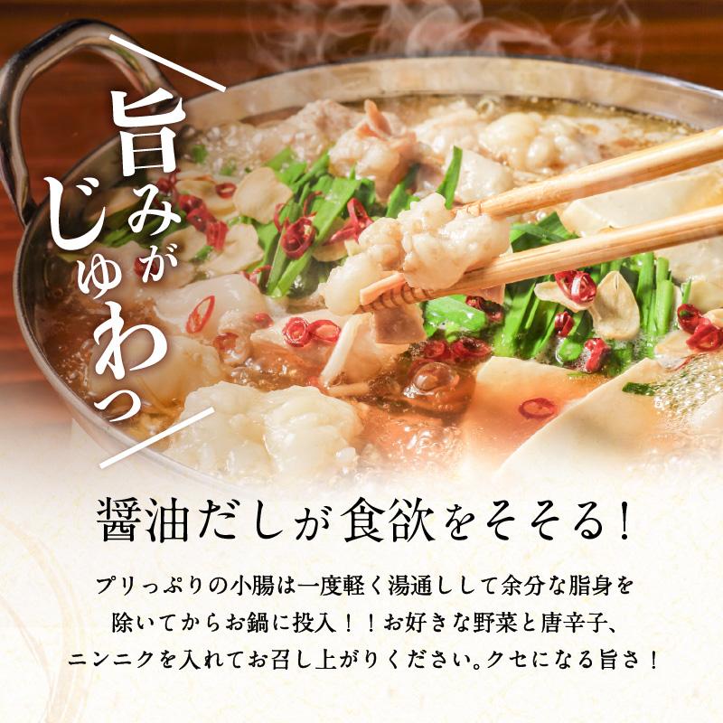 鹿児島県産黒毛和牛もつ鍋セット　K328-011