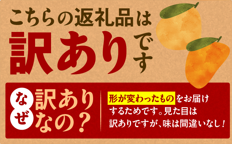 旬の朝採り！ 鹿児島 桜島産びわ 2箱（訳あり品）　K343-002_02