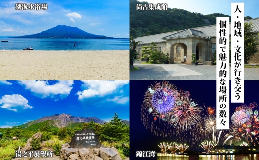 鹿児島市 後から選べる旅行Webカタログで使える！旅行クーポン（900,000円分） 旅行券 宿泊券　K350-001_90