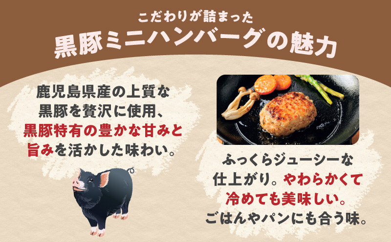 鹿児島県産黒豚ミニハンバーグ 12パック　K356-004