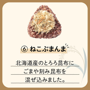 【7営業日以内に発送】9種から選べる！冷凍玄米おむすび 5個入り (6)ねこぶまんま　K182-005_06