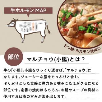 鹿児島市 黒毛和牛！大人気のもつ（ホルモン）セット　K002-006