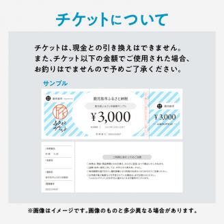 桜島半日カヤックツアー　2名様　ご利用券　K187-FT001