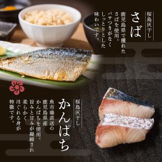 桜島灰干し　5種詰合せ　K178-001