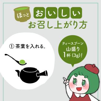 【5営業日以内に発送】日本茶専門店【貴茶－TAKACHA】煎茶［貴］ リーフ 100g　K068-016